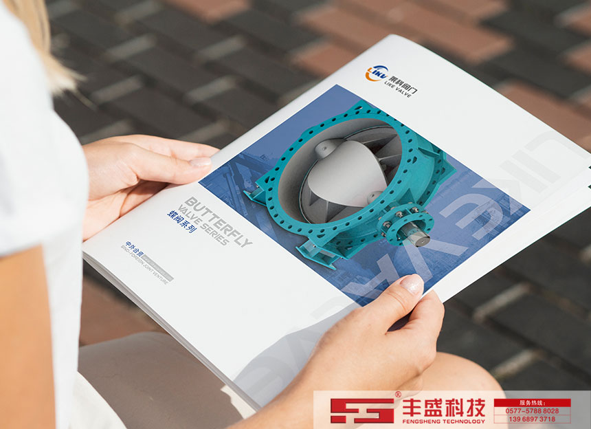 萊科閥門(天津)有限公司【蝶閥係列】-樣本畫冊設計